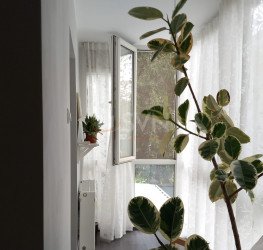 Apartament, 3 camere, 72 mp Bucuresti/Baneasa