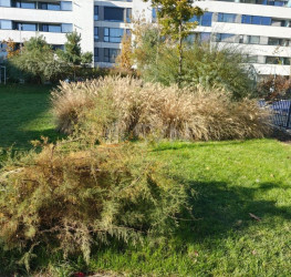 Apartament, 3 camere, 73 mp Bucuresti/Straulesti