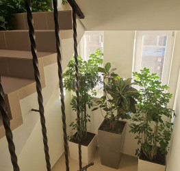 Apartament, 3 camere cu loc parcare exterior inclus Ilfov/Otopeni