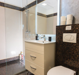 Apartament, 3 camere cu loc parcare subteran inclus Bucuresti/Herastrau