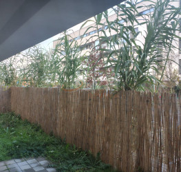 Apartament, 3 camere in ATRIA URBAN RESORT Bucuresti/Chitila