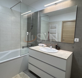 Apartament, 3 rooms, 100 mp Bucuresti/Iancu Nicolae
