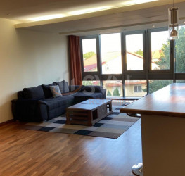 Apartament, 3 rooms, 111 mp Bucuresti/Iancu Nicolae