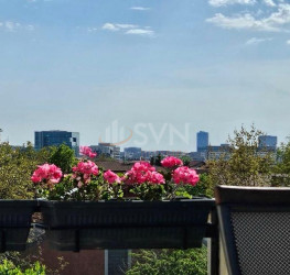 Apartament, 3 rooms, 155 mp Ilfov/Voluntari