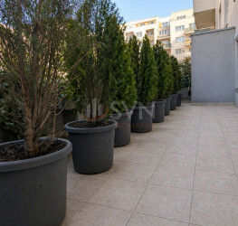 Apartament, 3 rooms, 64 mp Bucuresti/Barbu Vacarescu