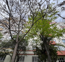 Apartament, 3 rooms, 80 mp Bucuresti/Barbu Vacarescu