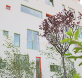 Apartament, 3 rooms in 303 By Radacini Bucuresti/Sisesti