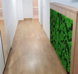 Apartament, 3 rooms with outdoor parking included Bucuresti/Calea Victoriei