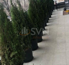 Apartament, 3 rooms with underground parking included Bucuresti/Floreasca