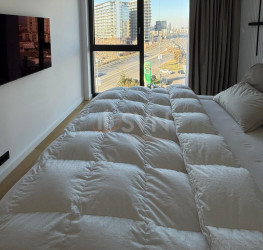 Apartament, 3 rooms with underground parking included Bucuresti/Herastrau