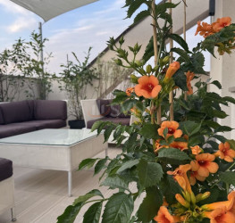 Apartament, 3 rooms with underground parking included Bucuresti/Timpuri Noi