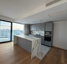 Apartament, 3 rooms with underground parking included Bucuresti/Herastrau
