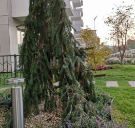 Apartament, 3 rooms with underground parking included Bucuresti/Domenii