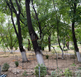 Apartament, 4 camere, 80.29 mp Bucuresti/Floreasca