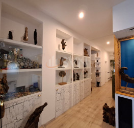 Apartament, 4 camere cu loc parcare exterior inclus Bucuresti/Baneasa