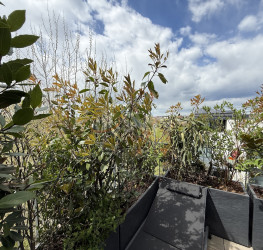 Apartament, 4 camere cu loc parcare subteran inclus Bucuresti/Pipera