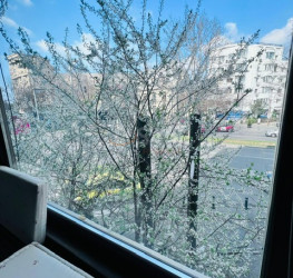 Apartament, 4 rooms, 120 mp Bucuresti/Victoriei