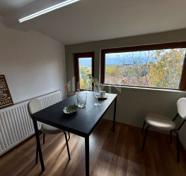 Apartament, 4 rooms, 145 mp Bucuresti/Iancu Nicolae