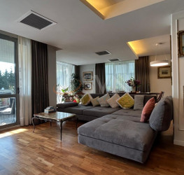 Apartament, 4 rooms, 160 mp Bucuresti/Iancu Nicolae