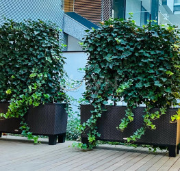 Apartament, 4 rooms with underground parking included Bucuresti/Primaverii