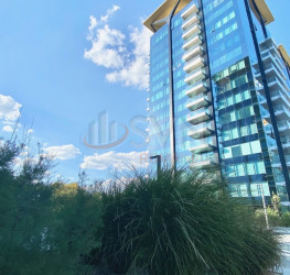 Apartament, 5 rooms, 247 mp Bucuresti/Floreasca
