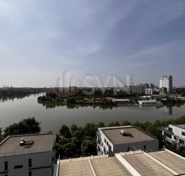 Apartament, 5 rooms, 247.32 mp Bucuresti/Floreasca