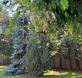 Apartament, 5 rooms with outdoor parking included Bucuresti/Iancu Nicolae