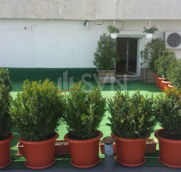 Apartament, 6 camere, 145 mp Bucuresti/Alba Iulia