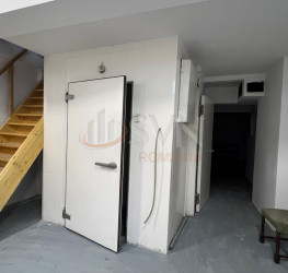Casa, 10 camere, 524 mp Bucuresti/Banu Manta