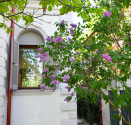 Casa, 10 camere, 628 mp Bucuresti/Cotroceni