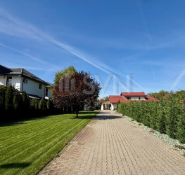 Casa, 10 camere, 700 mp Ilfov/Centru