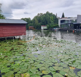 Casa, 10 camere, 800 mp Ilfov/Snagov