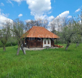 Casa, 10 rooms, 436 mp Arges/Cartierul 6 Martie