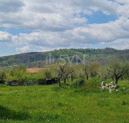 Casa, 10 rooms, 436 mp Arges/Cartierul 6 Martie