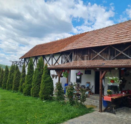 Casa, 10 rooms, 436 mp Arges/Cartierul 6 Martie