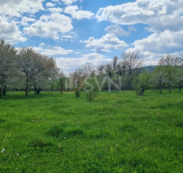 Casa, 10 rooms, 436 mp Arges/Cartierul 6 Martie