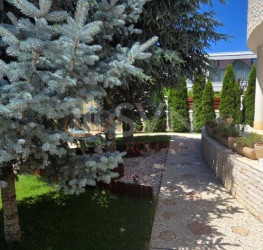Casa, 10 rooms, 450 mp Ilfov/Otopeni