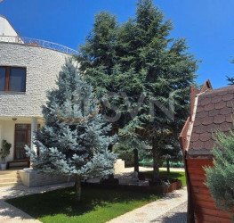 Casa, 10 rooms, 450 mp Ilfov/Otopeni