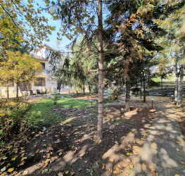 Casa, 10 rooms, 480 mp Bucuresti/Baneasa