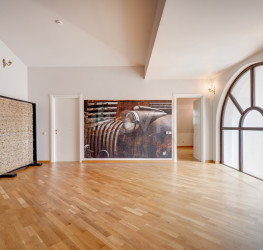 Casa, 10 rooms, 573 mp Bucuresti/Iancu Nicolae