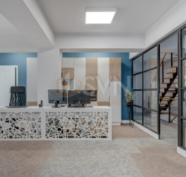 Casa, 10 rooms, 610 mp Bucuresti/Armeneasca