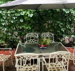 Casa, 12 rooms, 470 mp Bucuresti/Iancu Nicolae