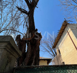 Casa, 13 camere, 585 mp Bucuresti/Unirii (s3)