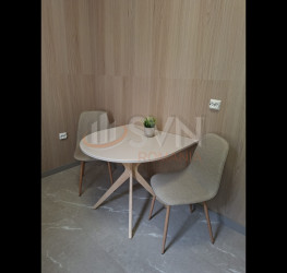 Casa, 16 rooms, 375 mp Bucuresti/Pache Protopopescu
