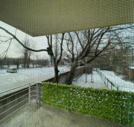 Casa, 18 rooms, 600 mp Bucuresti/Baneasa