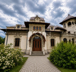 Casa, 20 camere, 757.75 mp Prahova/Democratiei