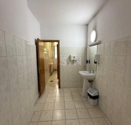 Casa, 21 rooms, 800 mp Bucuresti/Stefan Cel Mare