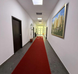 Casa, 21 rooms, 800 mp Bucuresti/Stefan Cel Mare