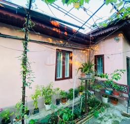 Casa, 3 rooms, 80 mp Bucuresti/Chitila