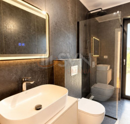 Casa, 4 camere, 165 mp Ilfov/Centru